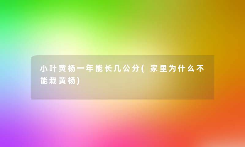 小叶黄杨一年能长几公分(家里为什么不能栽黄杨)