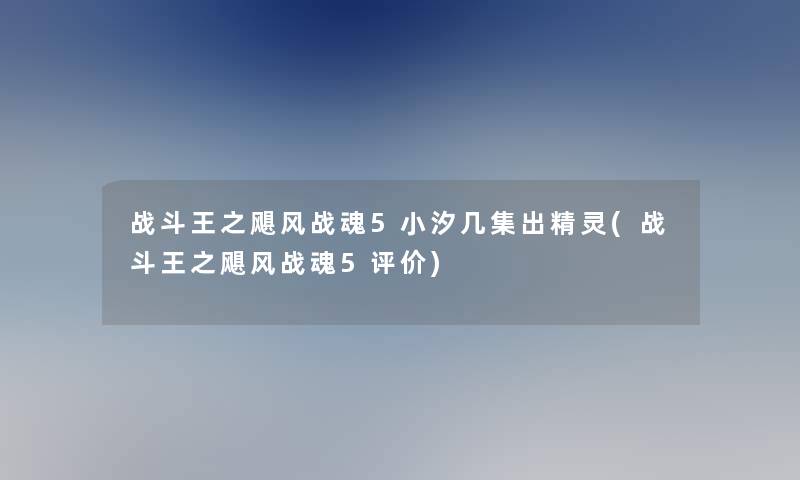 战斗王之飓风战魂5小汐几集出精灵(战斗王之飓风战魂5评价)