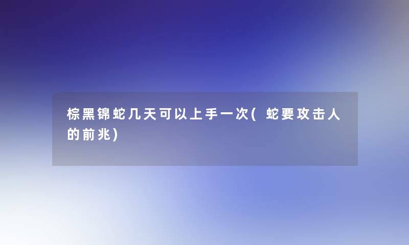 棕黑锦蛇几天可以上手一次(蛇要攻击人的前兆)