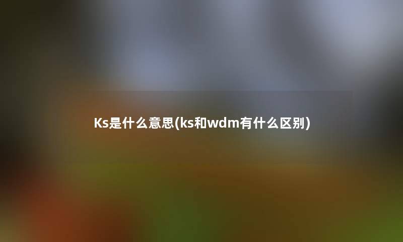 Ks是什么意思(ks和wdm有什么区别)