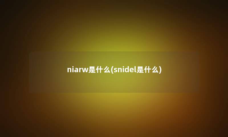 niarw是什么(snidel是什么)