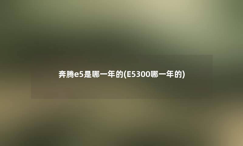 奔腾e5是哪一年的(E5300哪一年的)