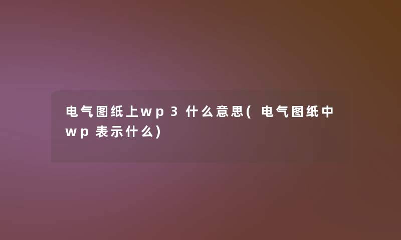 电气图纸上wp3什么意思(电气图纸中wp表示什么)