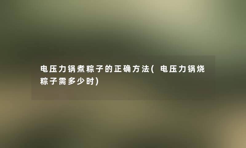 电压力锅煮粽子的正确方法(电压力锅烧粽子需多少时)