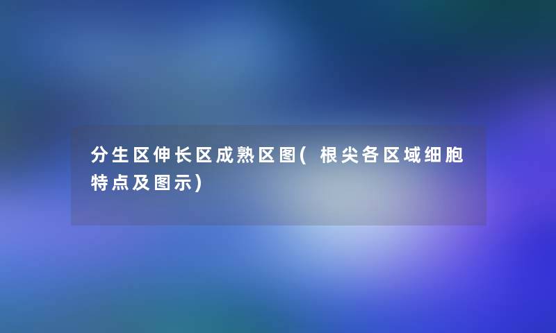 分生区伸长区成熟区图(根尖各区域细胞特点及图示)