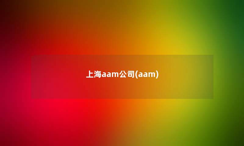 上海aam公司(aam)