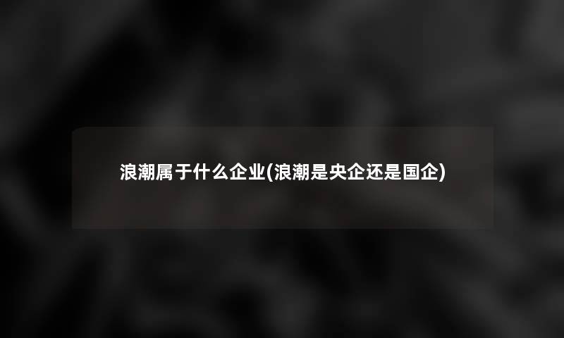 浪潮属于什么企业(浪潮是央企还是国企)