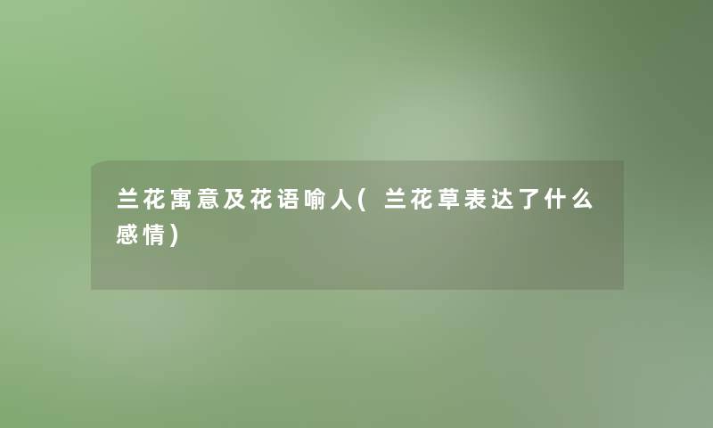 兰花寓意及花语喻人(兰花草表达了什么感情)