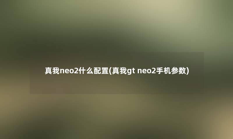 真我neo2什么配置(真我gt neo2手机参数)