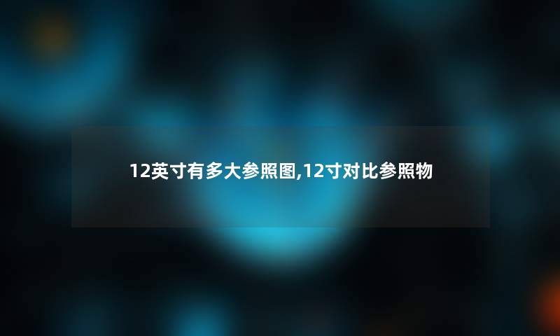 12英寸有多大参照图,12寸对比参照物