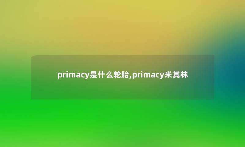 primacy是什么轮胎,primacy米其林