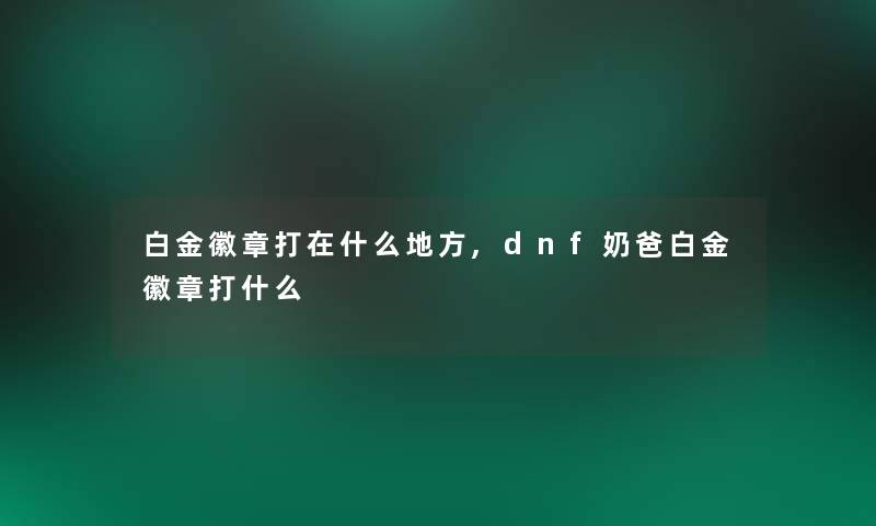 白金徽章打在什么地方,dnf奶爸白金徽章打什么