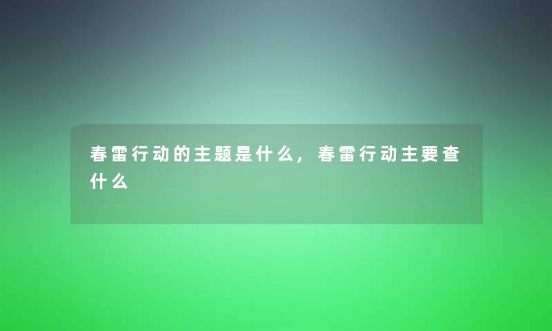 春雷行动的主题是什么,春雷行动主要查什么