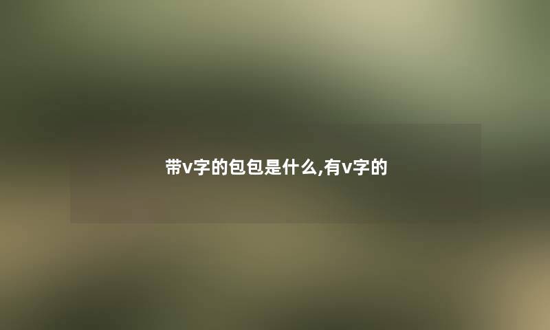 带v字的包包是什么,有v字的