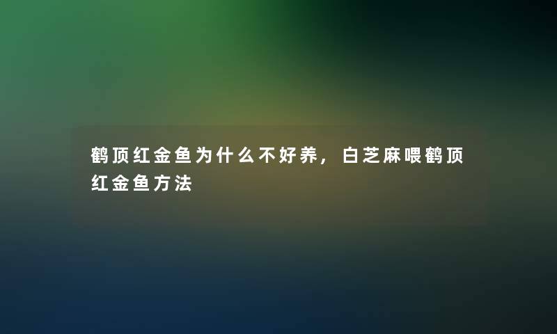 鹤顶红金鱼为什么不好养,白芝麻喂鹤顶红金鱼方法