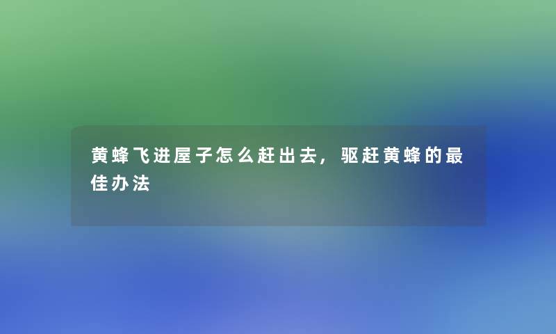 黄蜂飞进屋子怎么赶出去,驱赶黄蜂的理想办法