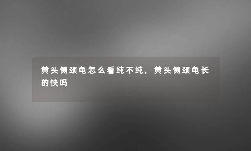 黄头侧颈龟怎么看纯不纯,黄头侧颈龟长的快吗