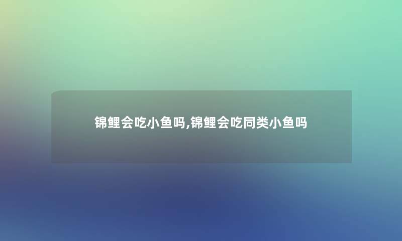 锦鲤会吃小鱼吗,锦鲤会吃同类小鱼吗