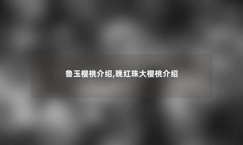 鲁玉樱桃介绍,晚红珠大樱桃介绍