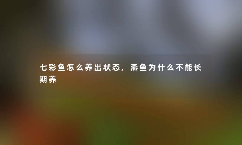 七彩鱼怎么养出状态,燕鱼为什么不能长期养