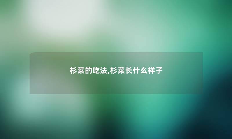 杉菜的吃法,杉菜长什么样子