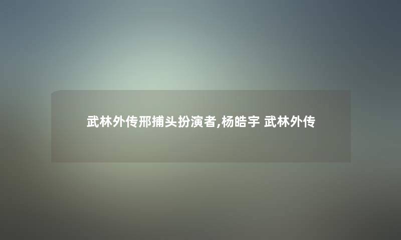 武林外传邢捕头扮演者,杨皓宇 武林外传