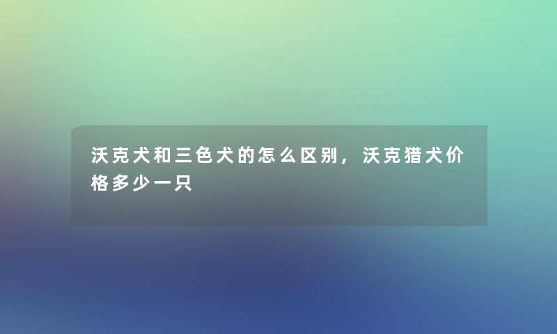 沃克犬和三色犬的怎么区别,沃克猎犬价格多少一只