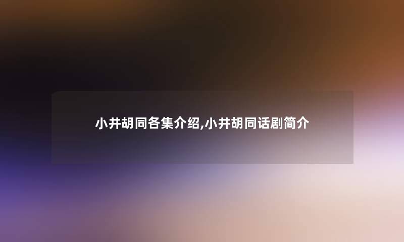 小井胡同各集介绍,小井胡同话剧简介